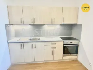 Pronájem bytu 1+1, Opava - Předměstí, Anenská, 40 m2