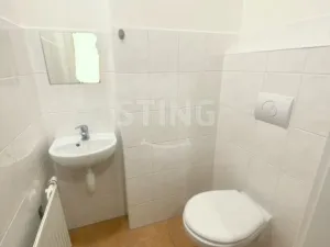 Pronájem bytu 1+1, Opava - Předměstí, Anenská, 40 m2