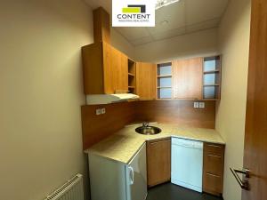 Pronájem výrobních prostor, Chrášťany, Za Tratí, 550 m2