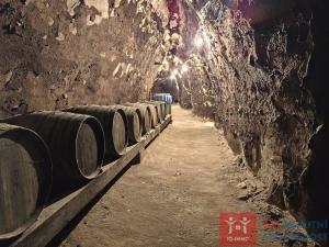 Pronájem vinného sklepa, Nový Šaldorf-Sedlešovice - Nový Šaldorf, 310 m2