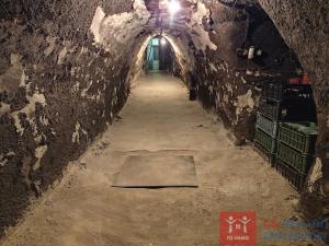 Pronájem vinného sklepa, Nový Šaldorf-Sedlešovice - Nový Šaldorf, 310 m2