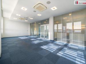 Pronájem kanceláře, České Budějovice - České Budějovice 6, Jeronýmova, 25 m2
