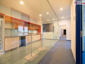 Pronájem kanceláře, České Budějovice - České Budějovice 6, Jeronýmova, 25 m2