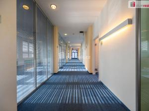 Pronájem kanceláře, České Budějovice - České Budějovice 6, Jeronýmova, 25 m2