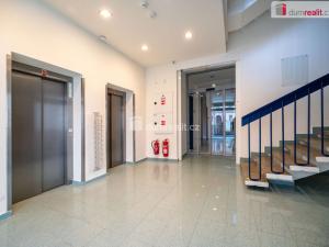 Pronájem kanceláře, České Budějovice - České Budějovice 6, Jeronýmova, 25 m2