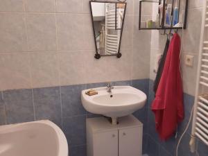 Pronájem bytu 1+kk, Olomouc, Dolní hejčínská, 42 m2