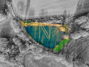 Prodej rybníku, Týnec, 2713 m2