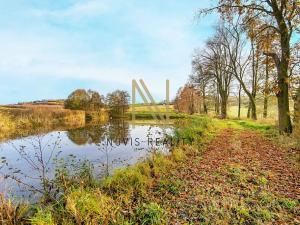 Prodej rybníku, Týnec, 2713 m2