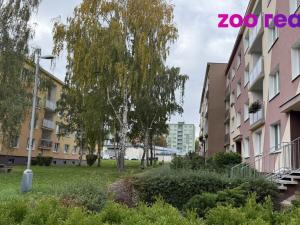 Pronájem bytu 2+1, Jirkov, Studentská, 53 m2