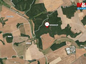 Prodej lesa, Koloveč, 13001 m2