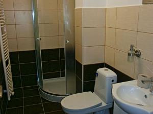 Pronájem bytu 1+kk, Olomouc, Dlouhá, 27 m2