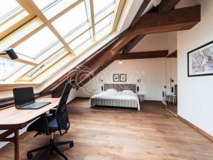 Pronájem bytu 5+kk, Praha - Nové Město, Truhlářská, 335 m2