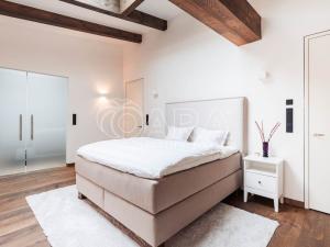 Pronájem bytu 5+kk, Praha - Nové Město, Truhlářská, 335 m2