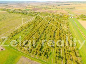 Prodej sadu/vinice, Rakvice, 210277 m2