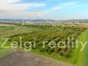 Prodej sadu/vinice, Rakvice, Horní, 210277 m2