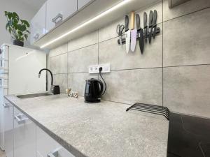 Pronájem bytu 2+1, Olomouc - Holice, U cukrovaru, 45 m2