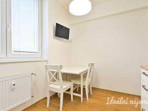 Pronájem bytu 2+1, Brno, Palackého třída, 60 m2