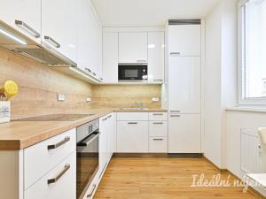 Pronájem bytu 2+1, Brno, Palackého třída, 60 m2