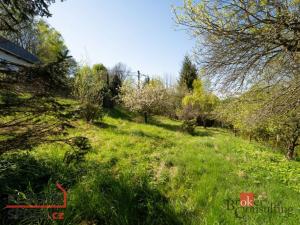 Prodej zahrady, Rybník, 1928 m2