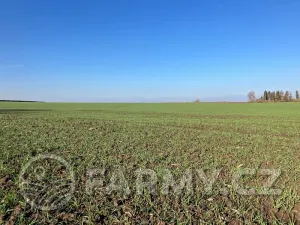 Prodej pole, Střezetice, 28205 m2