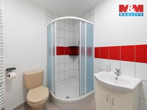 Pronájem komerční nemovitosti, Svatava, U Přádelny, 250 m2