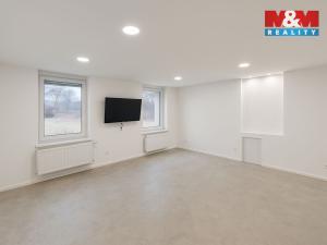 Pronájem komerční nemovitosti, Svatava, U Přádelny, 250 m2