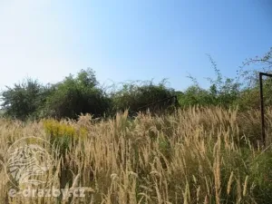 Dražba zahrady, Grunta, 901 m2