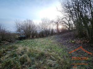 Prodej rodinného domu, Jaroměř - Starý Ples, 110 m2