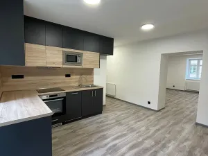 Pronájem bytu 2+kk, Děčín, Zámecká, 69 m2