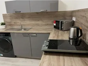 Pronájem bytu 1+kk, Brno, Dornych, 28 m2