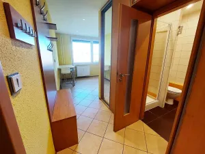 Pronájem bytu 1+1, Brno, Ečerova, 40 m2