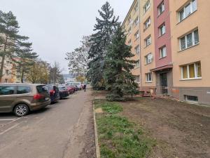 Prodej bytu 2+1, Most, Maxe Švabinského, 55 m2