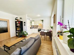 Pronájem bytu 2+kk, Plzeň - Východní Předměstí, U Ježíška, 59 m2