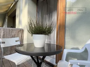 Pronájem bytu 1+kk, Brno, Rakovecká, 22 m2