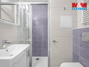 Prodej bytu 1+kk, Praha - Vysočany, U Lidového domu, 17 m2