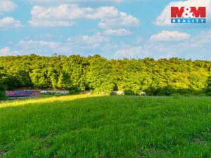 Prodej louky, Jílové u Prahy, 18692 m2