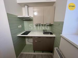 Pronájem bytu 1+1, Ostrava, Podzámčí, 35 m2