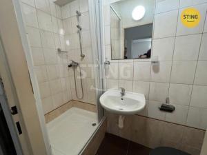 Pronájem bytu 1+1, Ostrava, Podzámčí, 35 m2