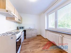 Pronájem bytu 1+1, Slaný, Rabasova, 28 m2