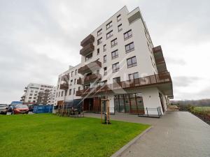 Pronájem bytu 1+kk, Praha - Dolní Měcholupy, Kardausova, 34 m2