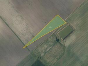 Prodej pole, Horušice, 20462 m2