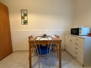 Pronájem bytu 2+1, Ústí nad Labem - Klíše, Herbenova, 60 m2