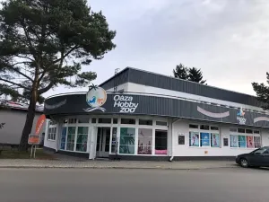 Pronájem obchodního prostoru, Jihlava, Přední, 270 m2