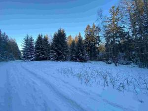 Prodej pozemku, Frýdštejn, 1080 m2