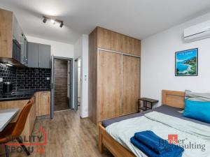 Prodej bytu 2+kk, Plzeň, 56 m2