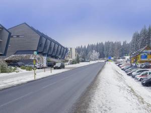 Prodej bytu 2+kk, Loučná pod Klínovcem, 40 m2