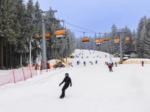 Prodej bytu 2+kk, Loučná pod Klínovcem, 40 m2