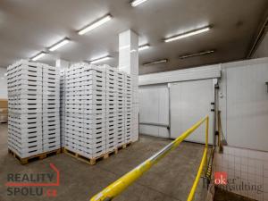 Prodej výrobních prostor, Kaznějov, Pod Továrnou, 6551 m2