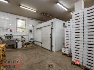 Prodej výrobních prostor, Kaznějov, Pod Továrnou, 6551 m2