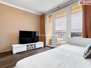 Prodej bytu 1+kk, Ústí nad Labem - Klíše, U Stadiónu, 16 m2